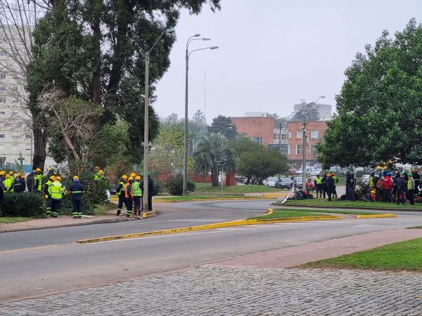 Imagen 2 de la galería