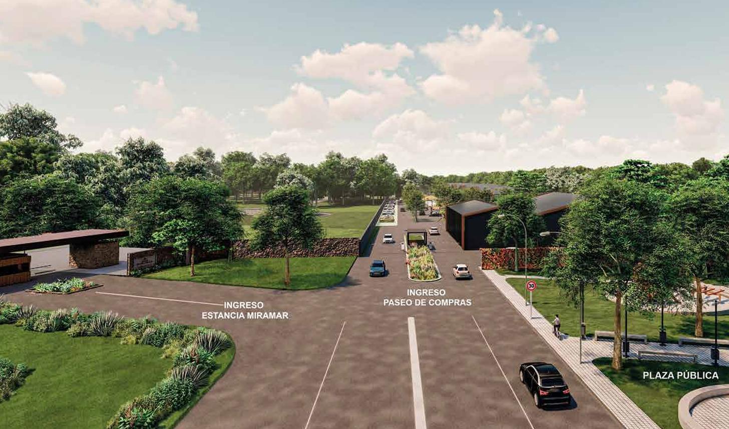 Imagen 1 de la galería