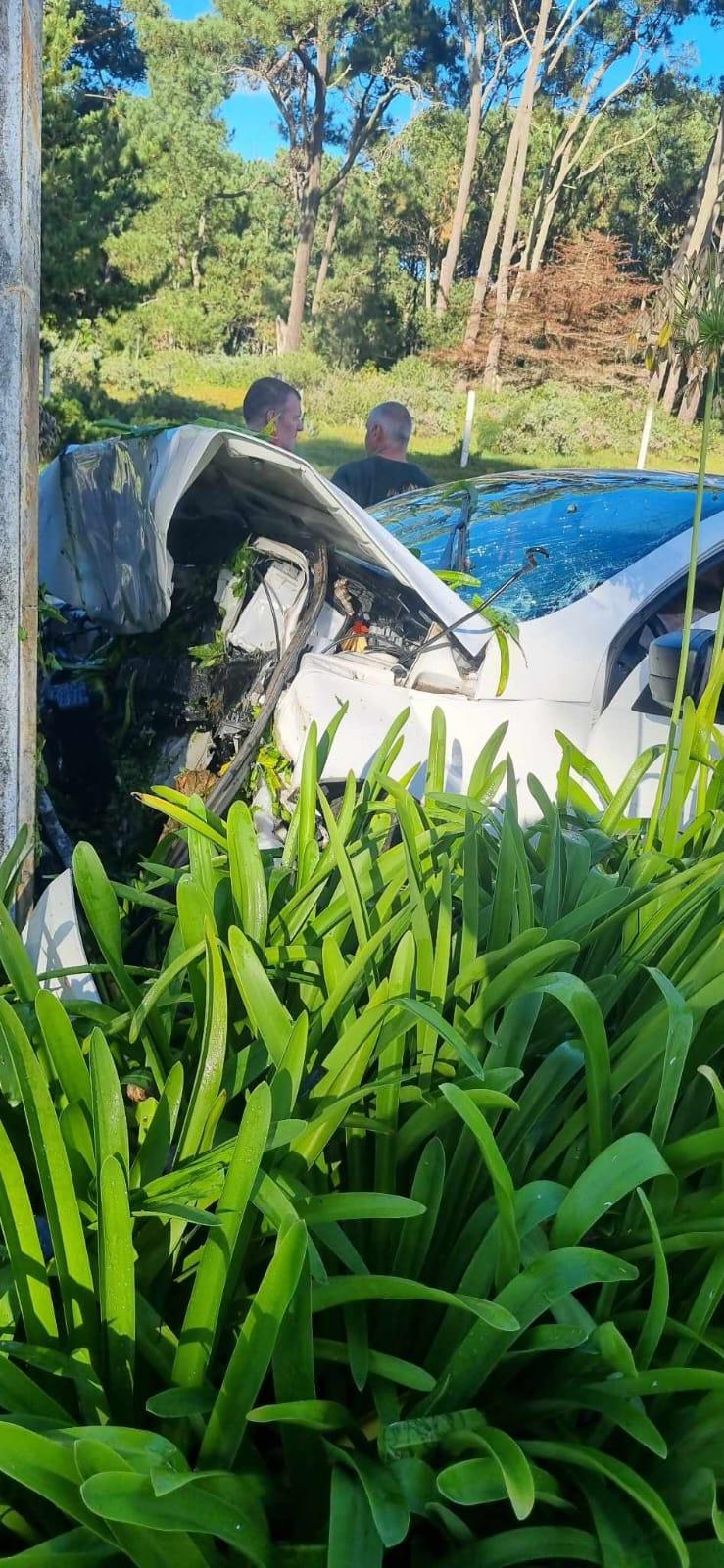 Imagen 2 de la galería