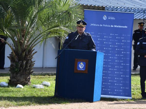 Imagen 3 de la galería