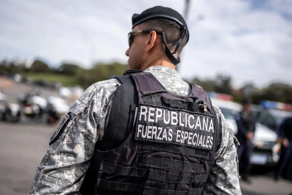 Imagen 1 de la galería