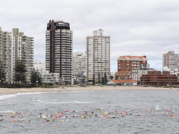 Imagen 2 de la galería