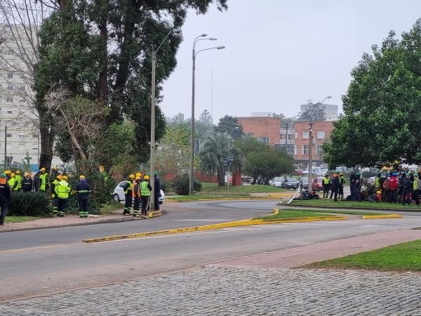 Imagen 4 de la galería