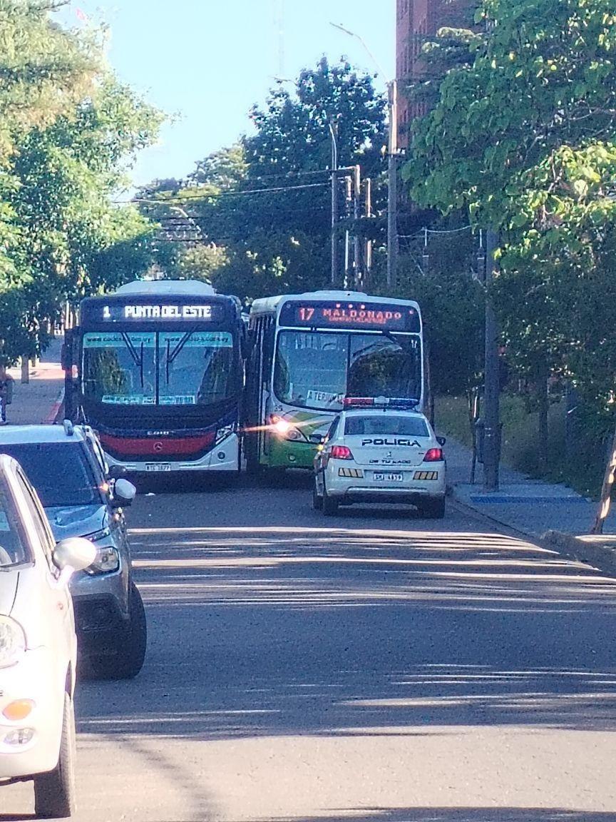 Imagen 1 de la galería