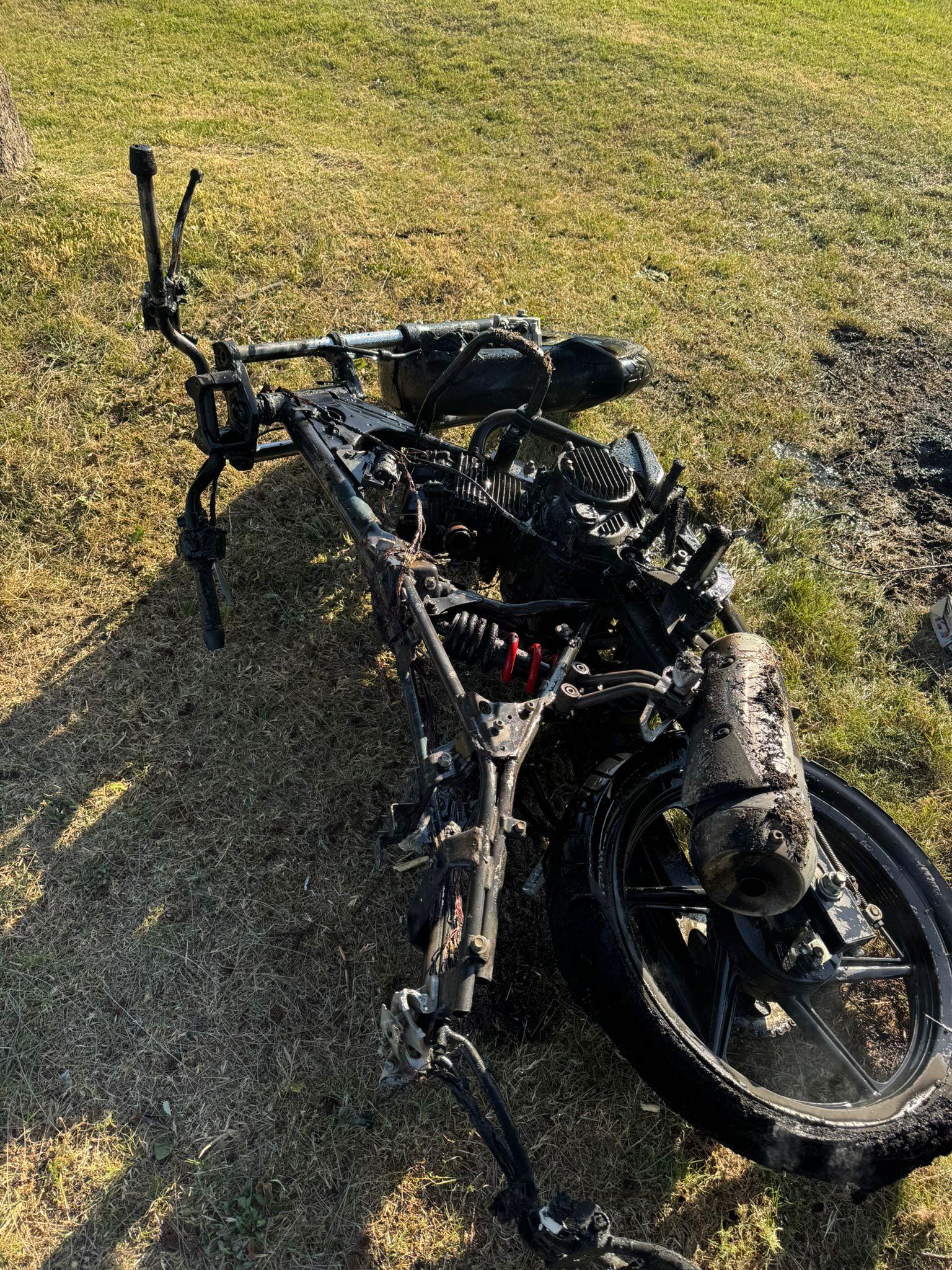 Imagen 1 de la galería