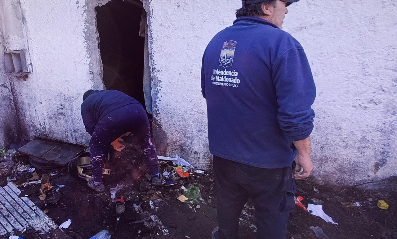 Imagen 1 de la galería