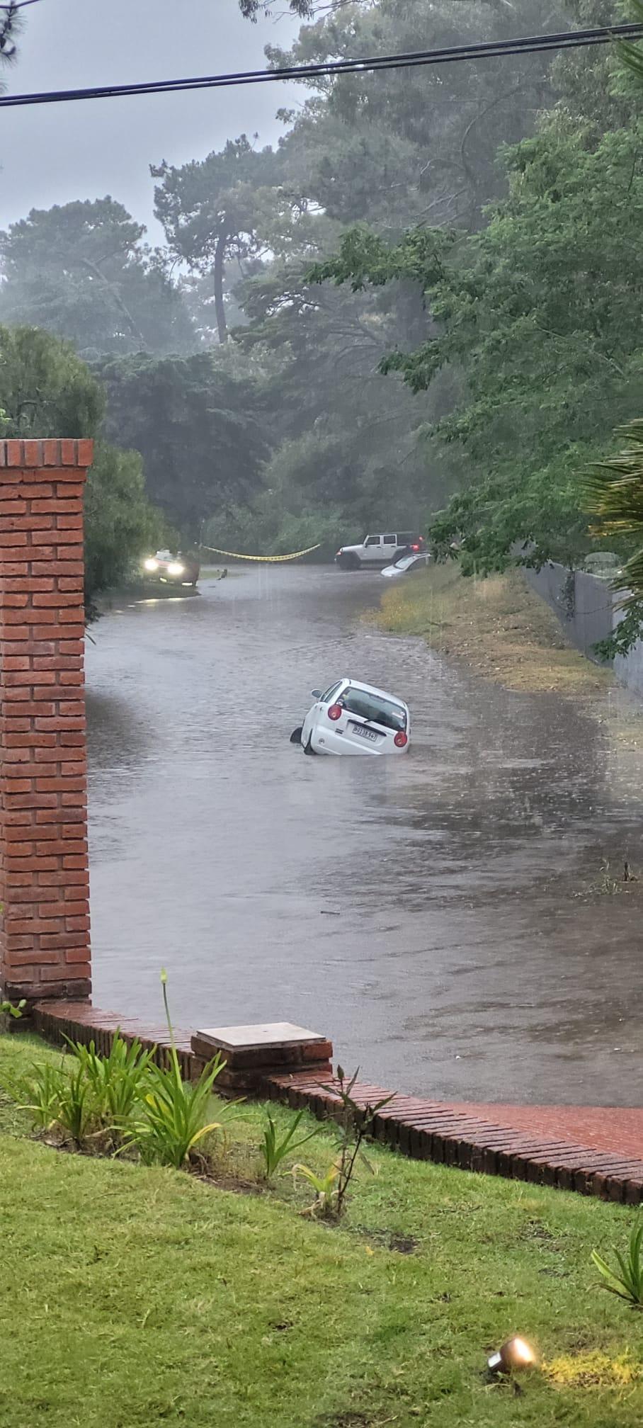Imagen 2 de la galería