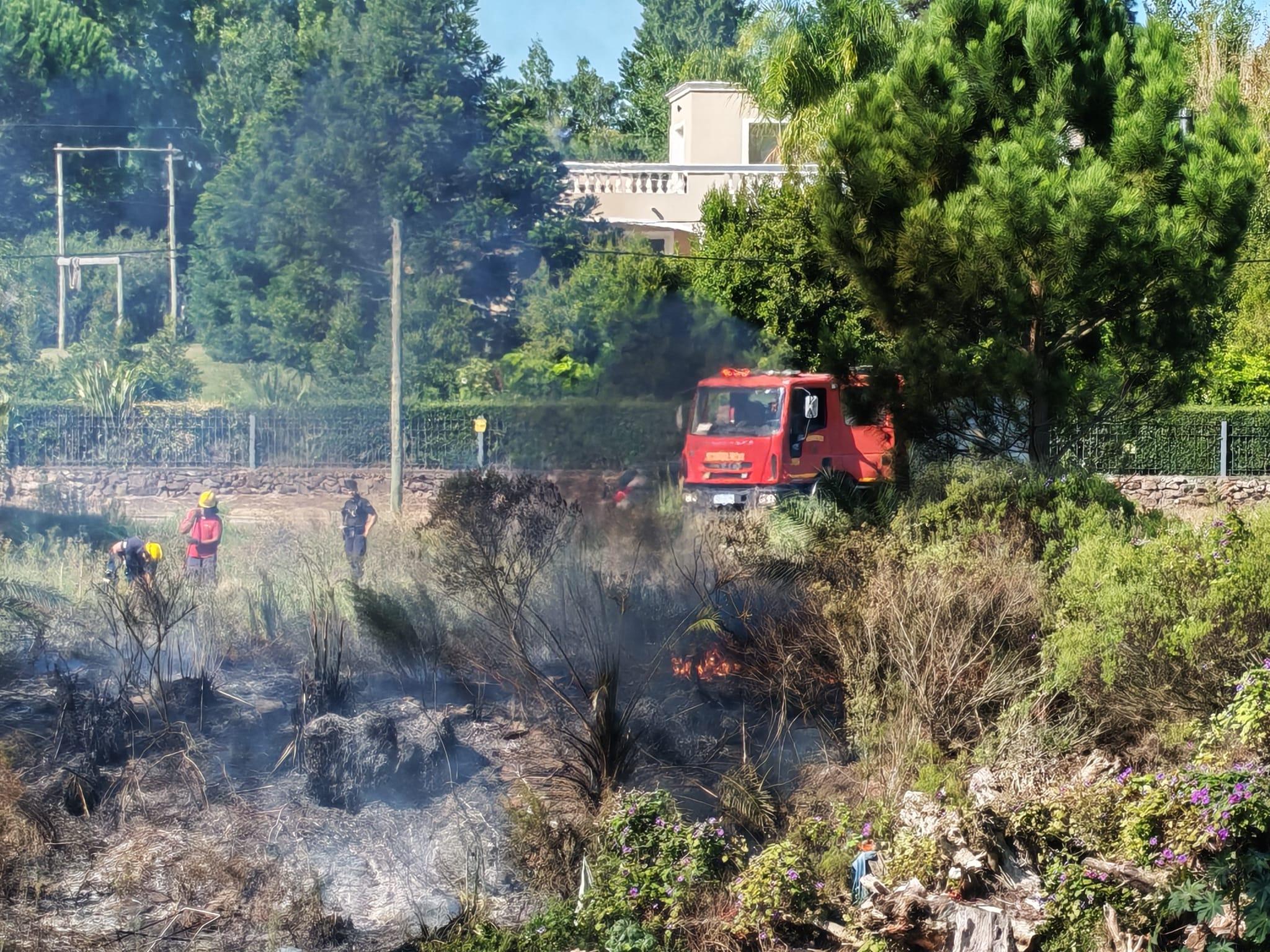 Imagen 1 de la galería