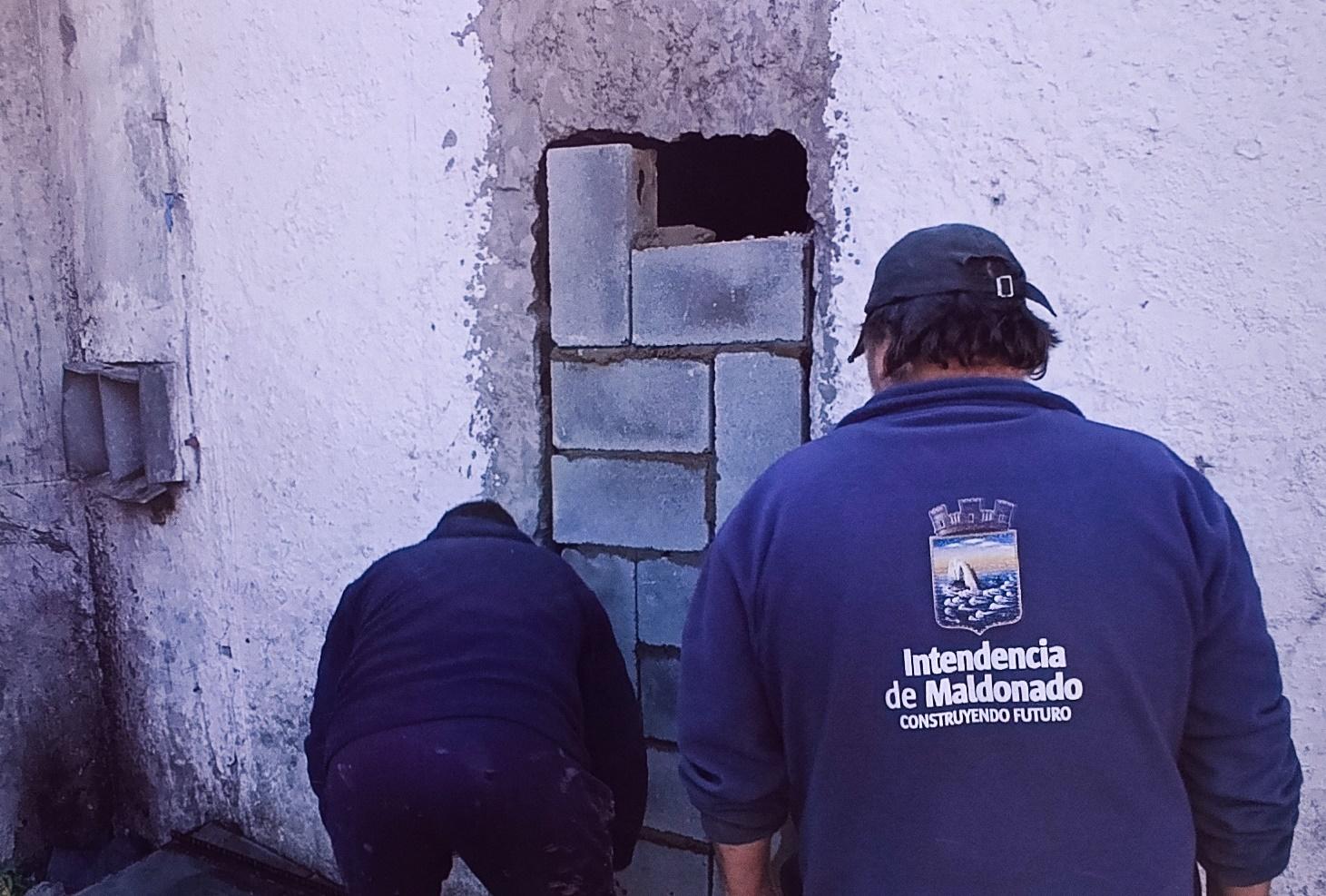 Imagen 2 de la galería