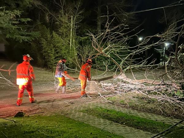 Imagen 2 de la galería