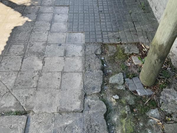 Imagen 3 de la galería