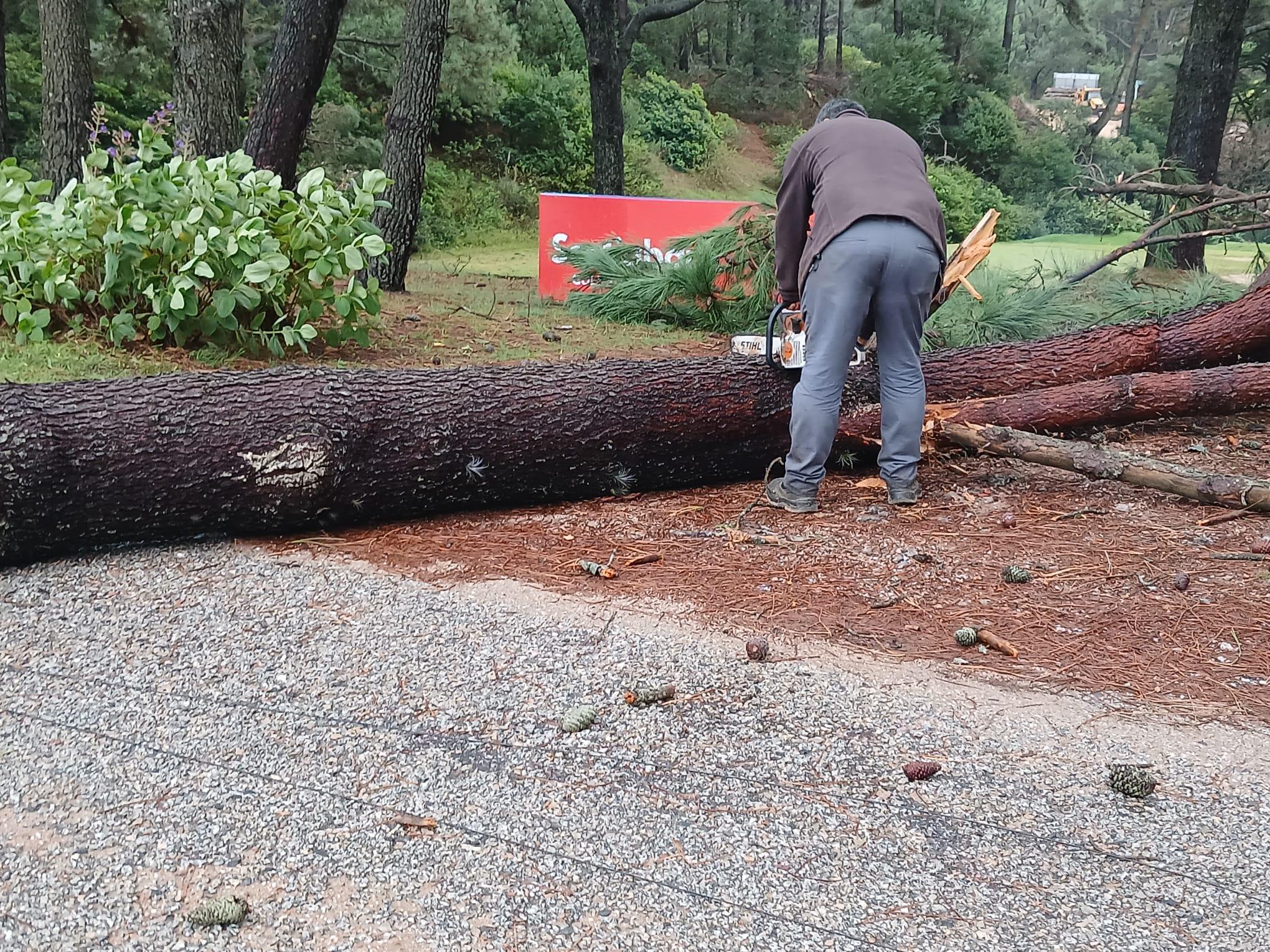 Imagen 2 de la galería