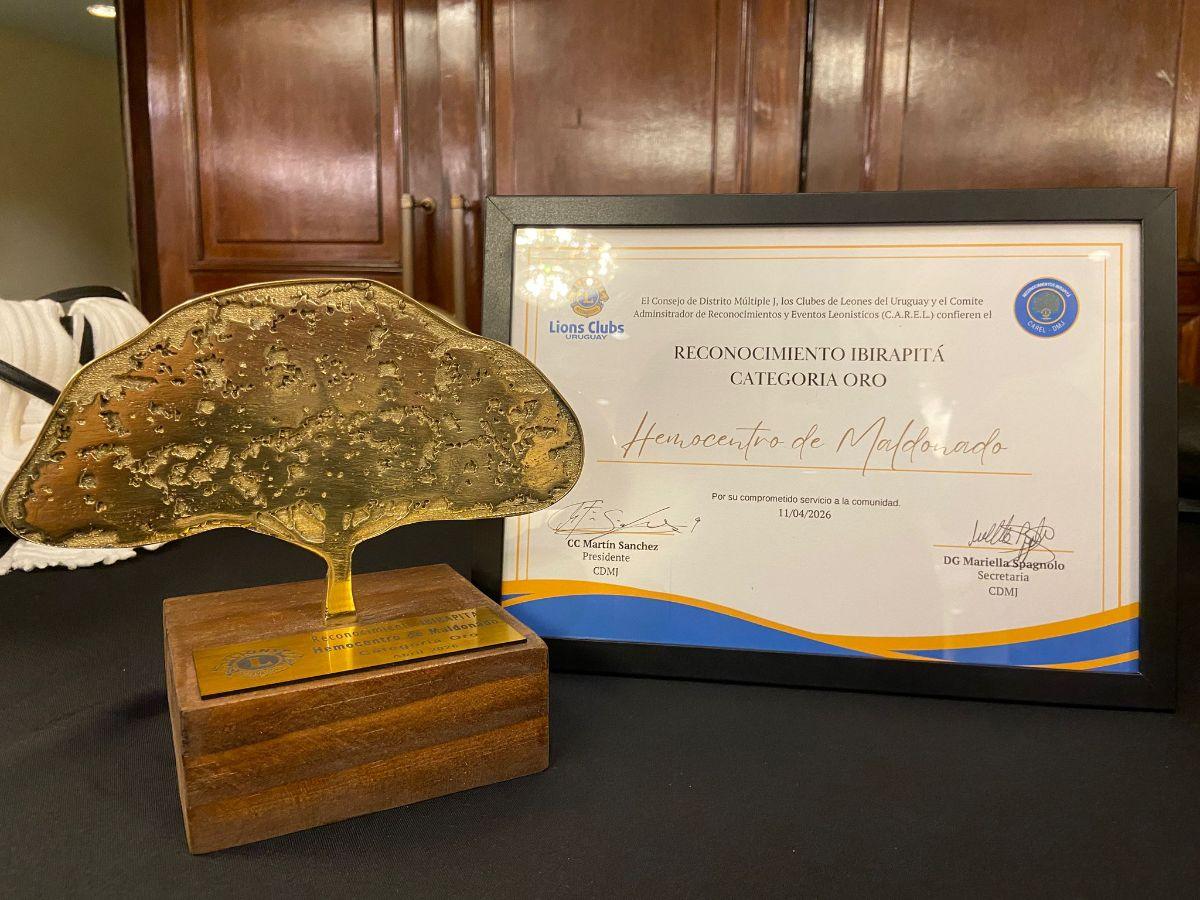 Imagen 1 de la galería