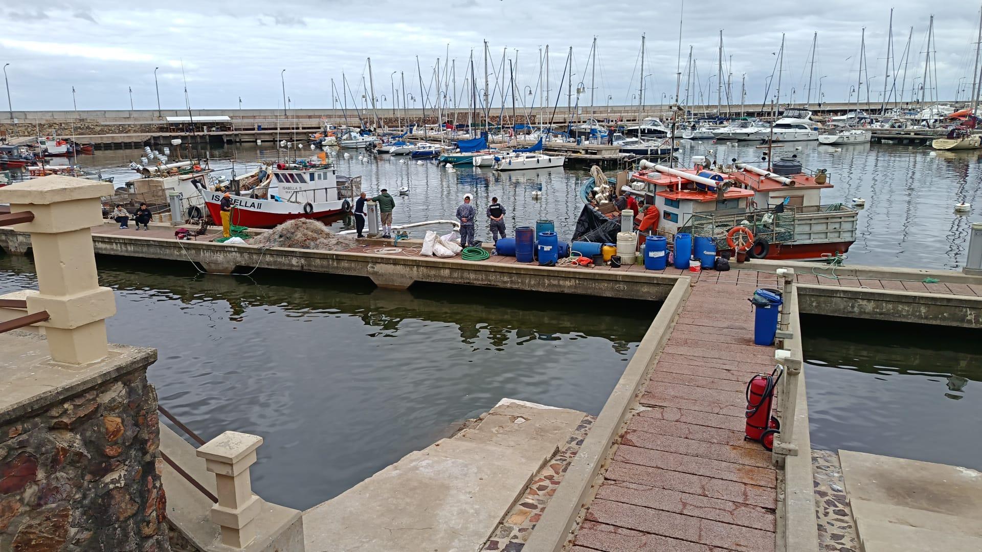 Imagen 1 de la galería