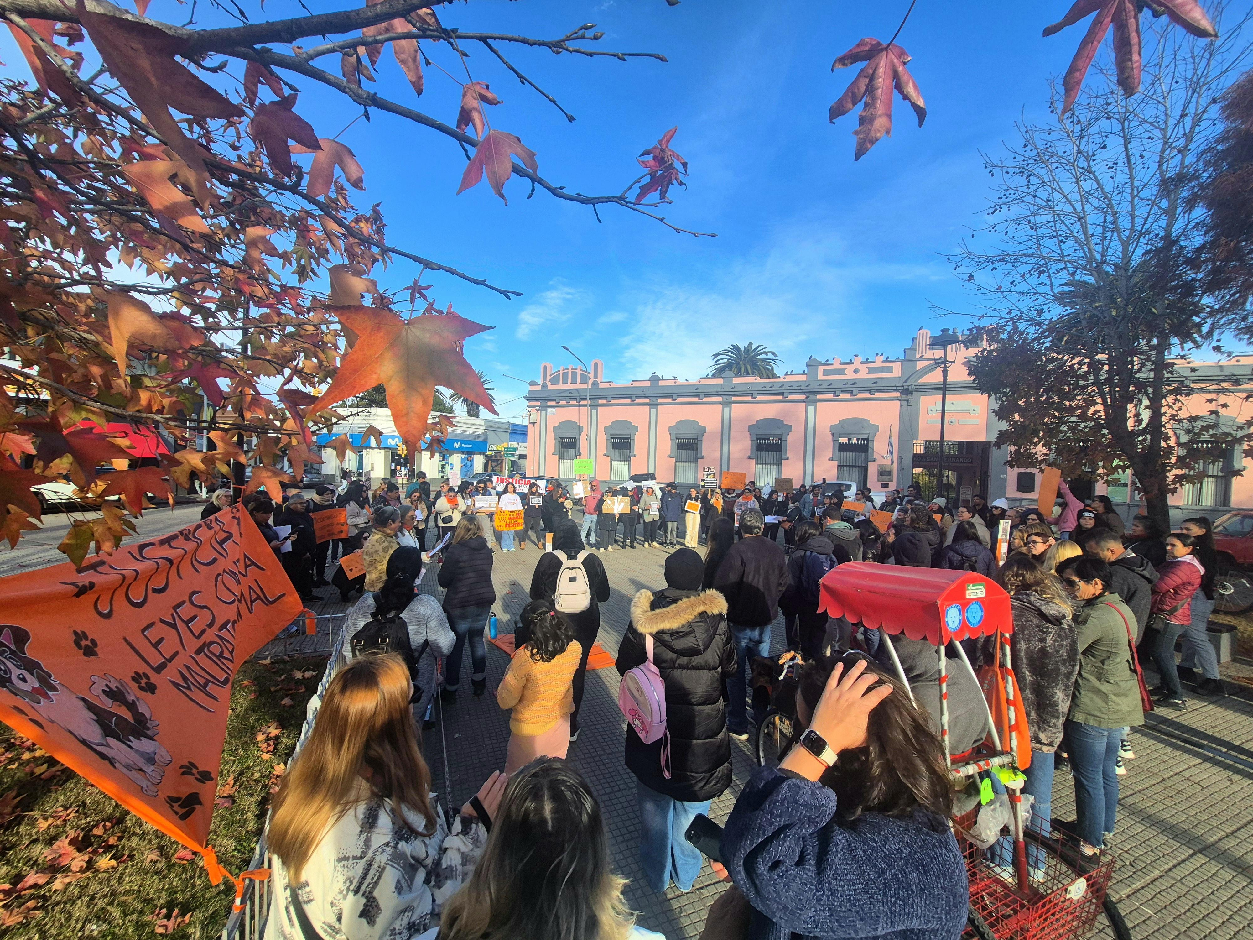 Imagen 2 de la galería