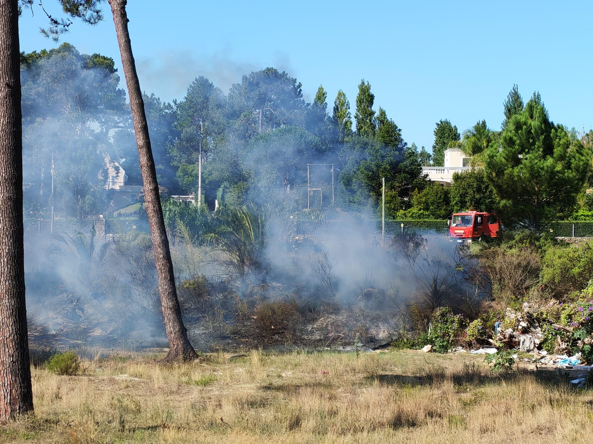 Imagen 2 de la galería