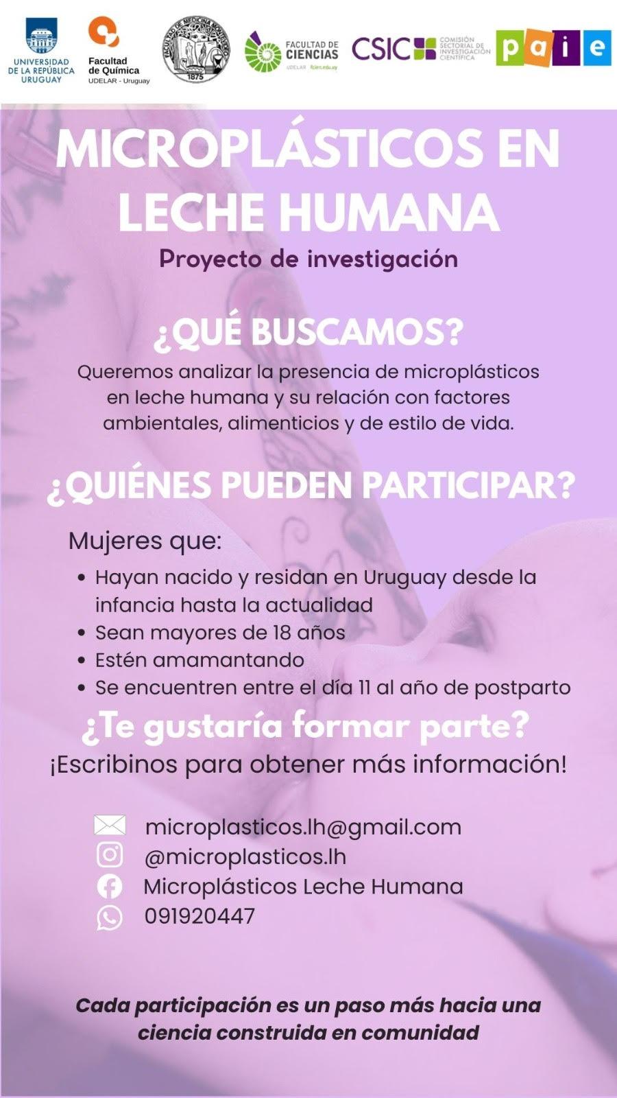 Imagen 1 de la galería