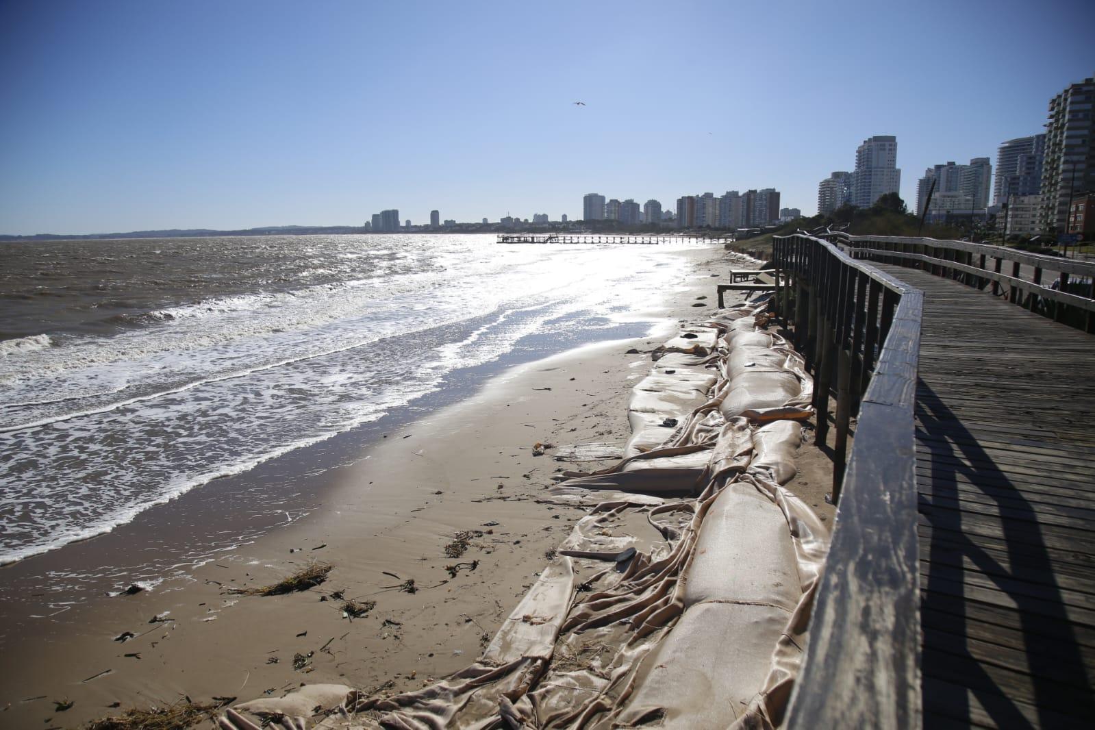 Imagen 4 de la galería