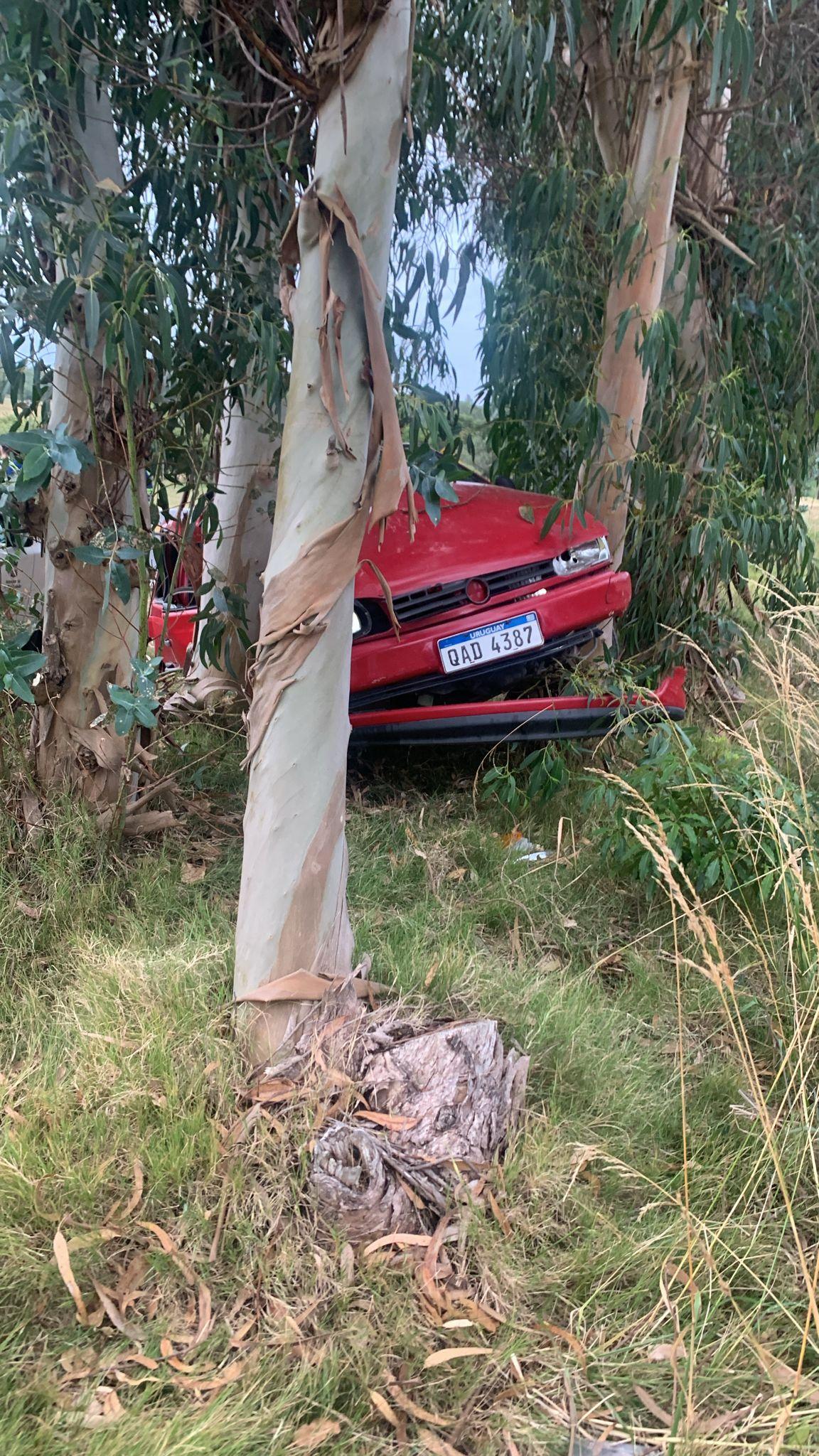 Imagen 1 de la galería