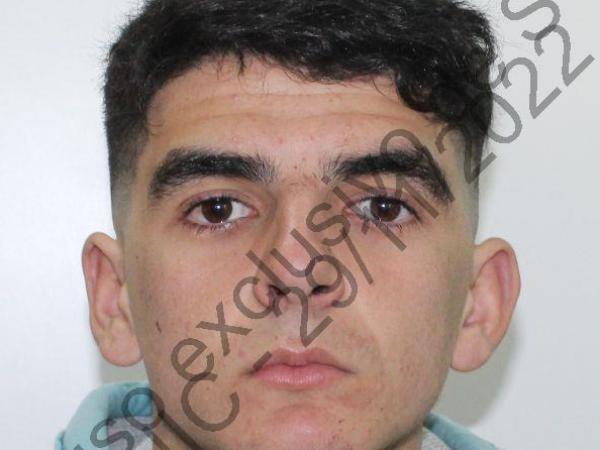 Imagen 2 de la galería