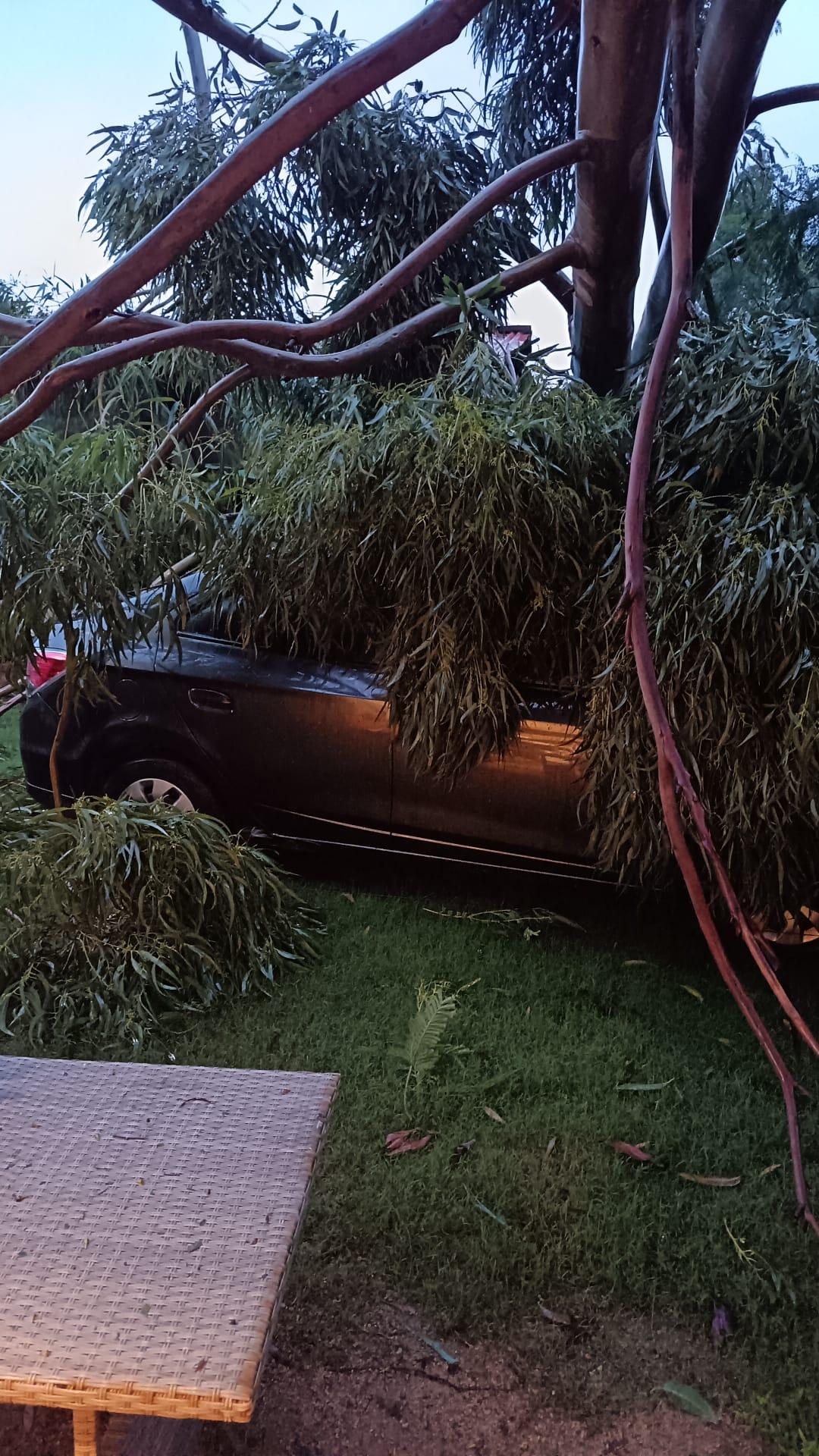 Imagen 3 de la galería