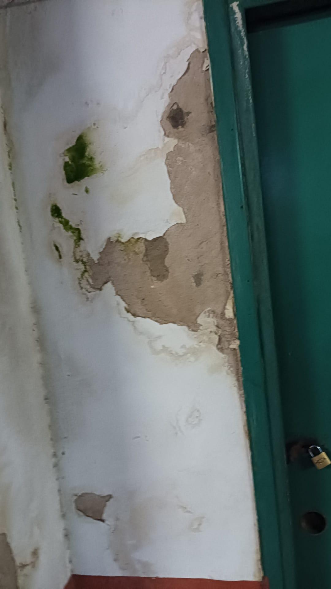 Imagen 3 de la galería