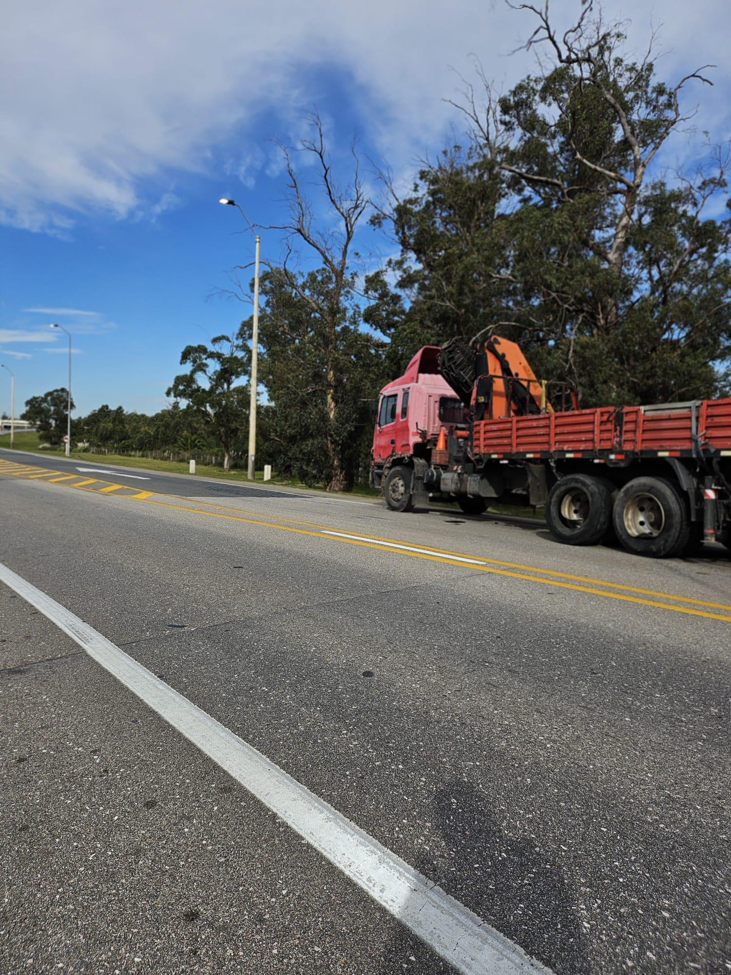 Imagen 2 de la galería