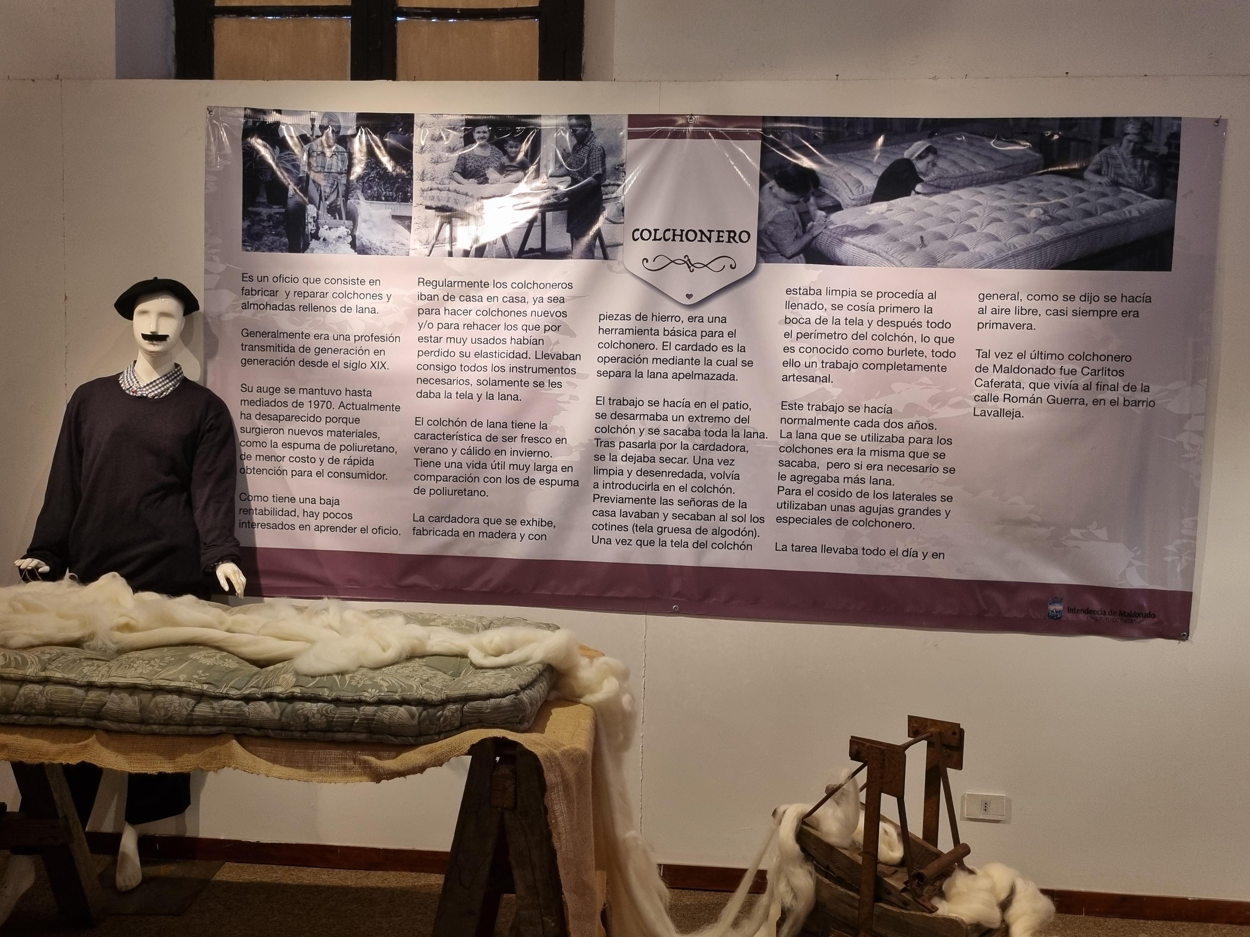 Imagen 3 de la galería