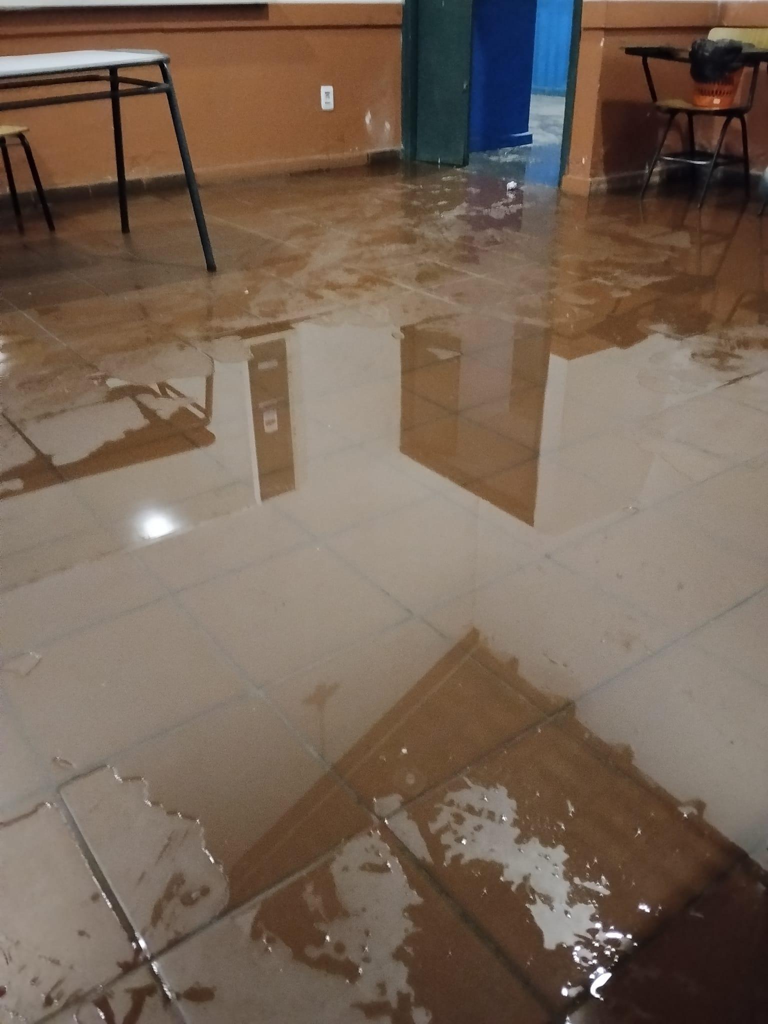Imagen 3 de la galería