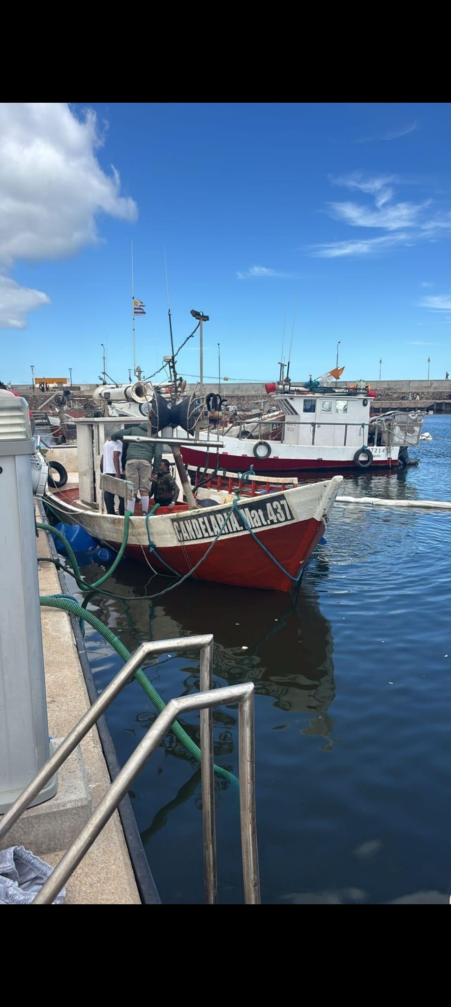 Imagen 2 de la galería