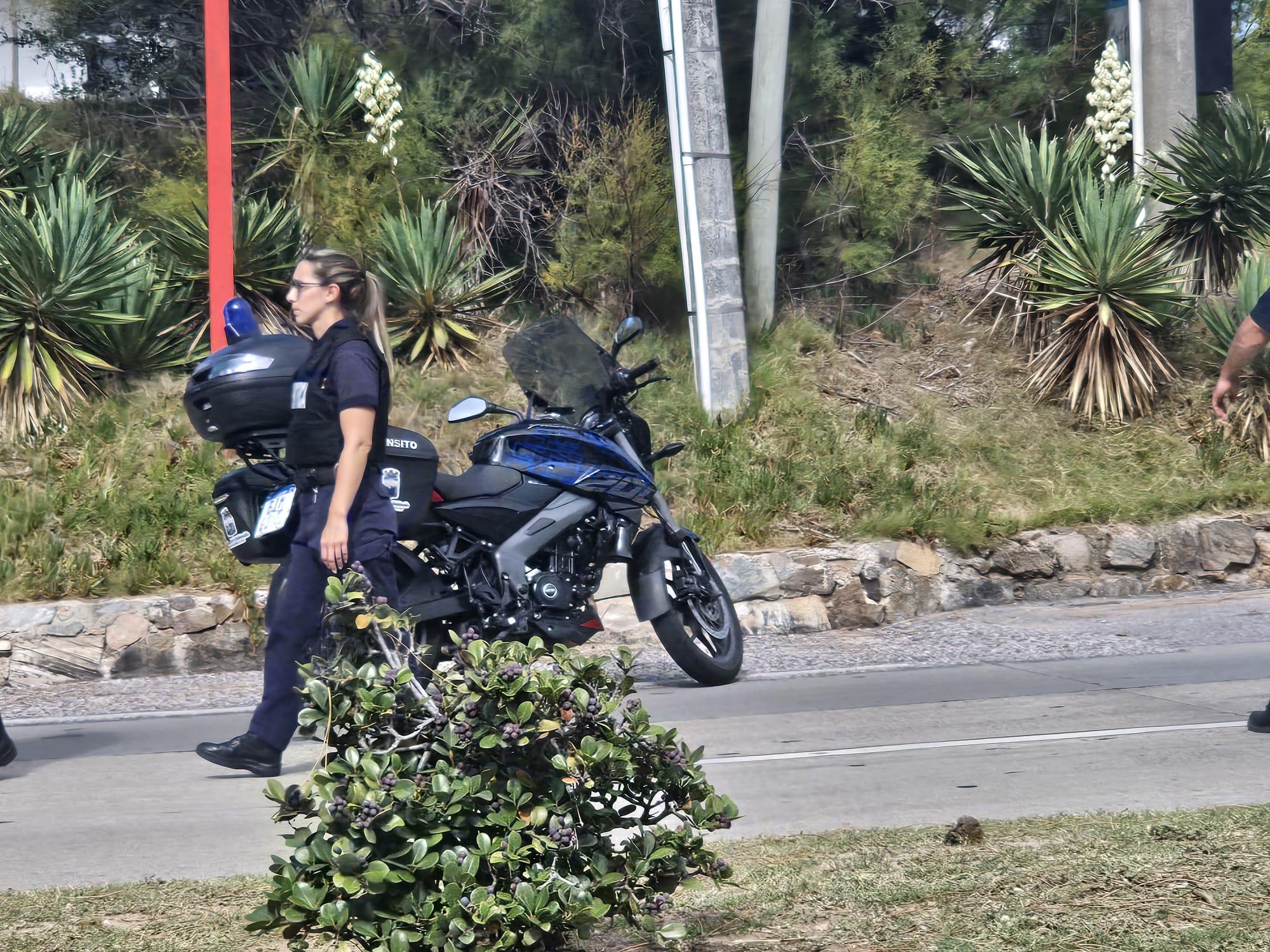 Imagen 2 de la galería