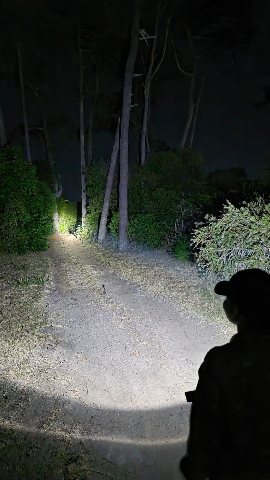 Imagen 1 de la galería