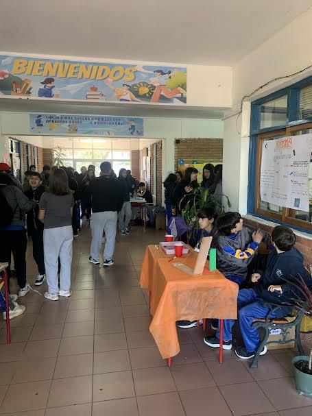 Imagen 1 de la galería