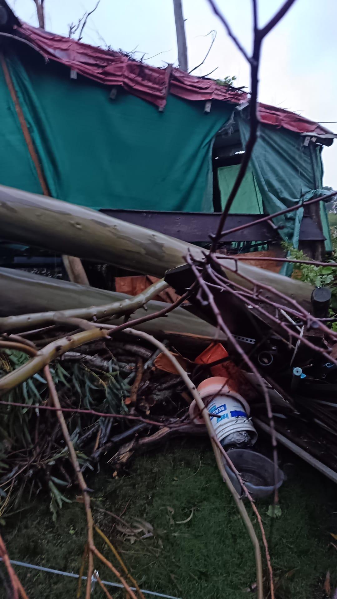 Imagen 4 de la galería