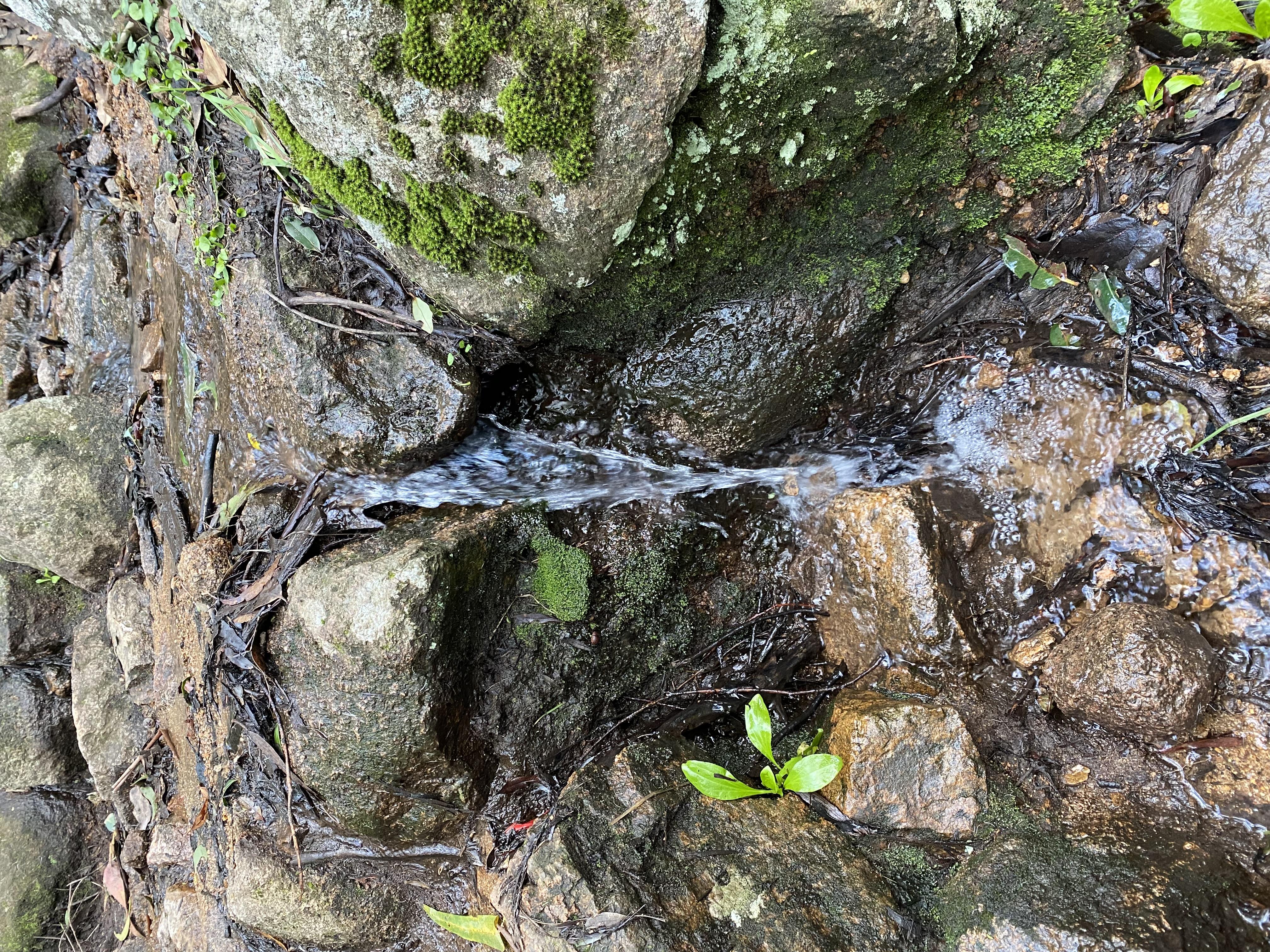 Imagen 2 de la galería