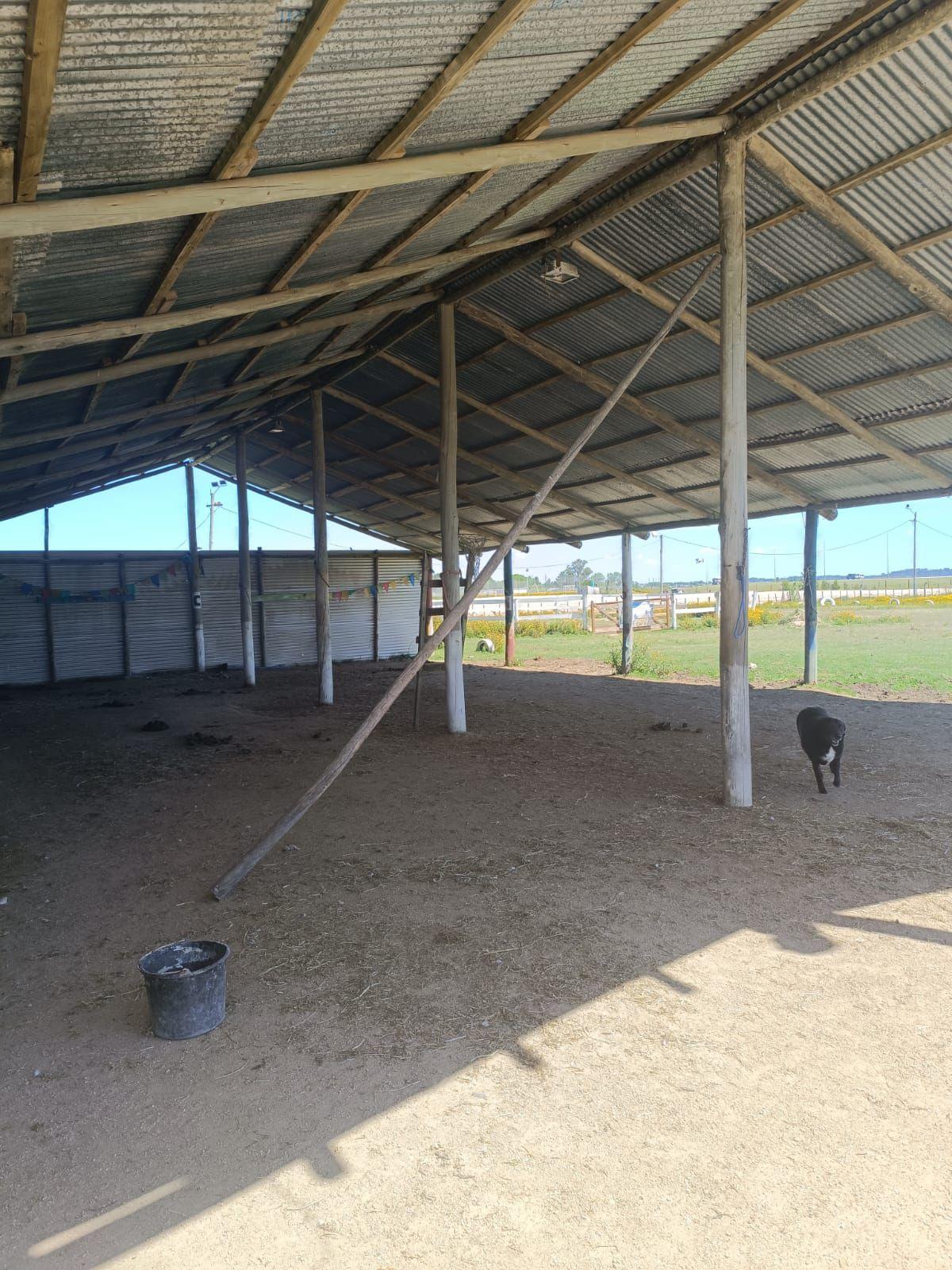 Imagen 2 de la galería