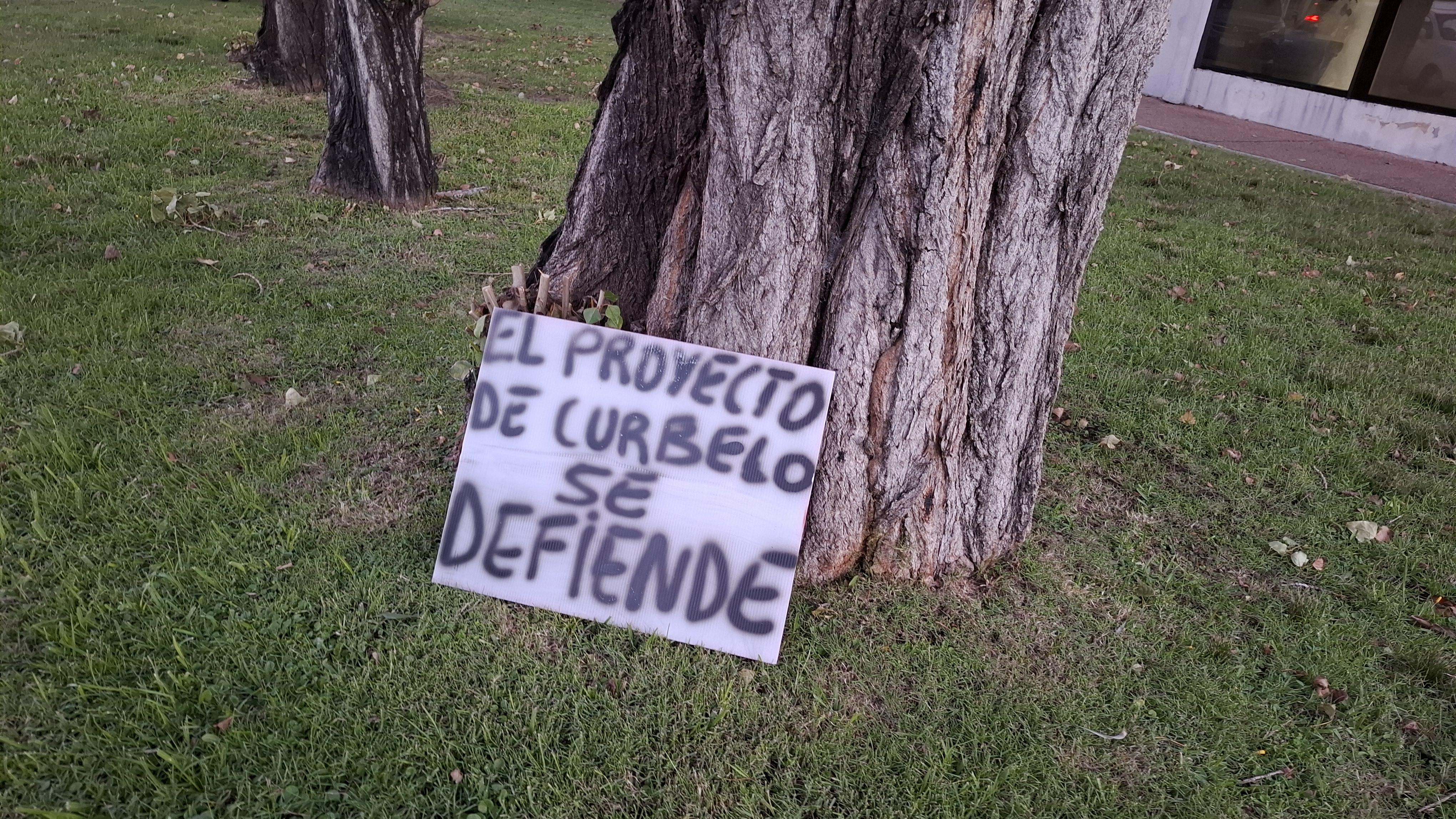 Imagen 3 de la galería