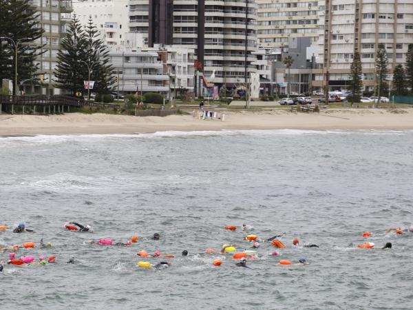 Imagen 4 de la galería