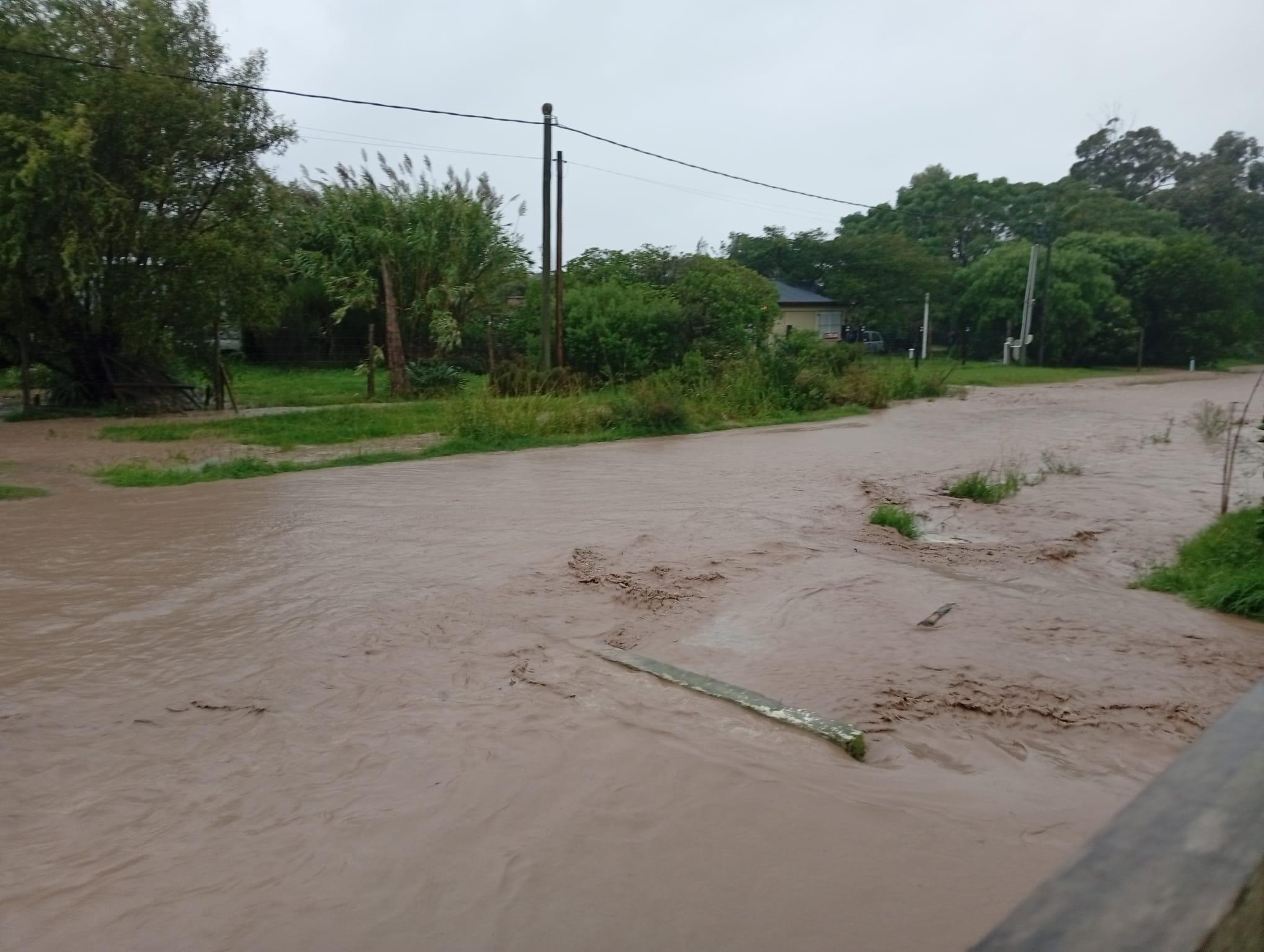 Imagen 1 de la galería