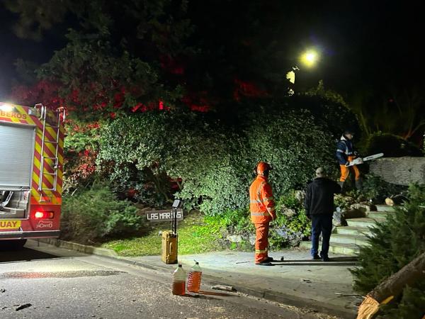 Imagen 3 de la galería