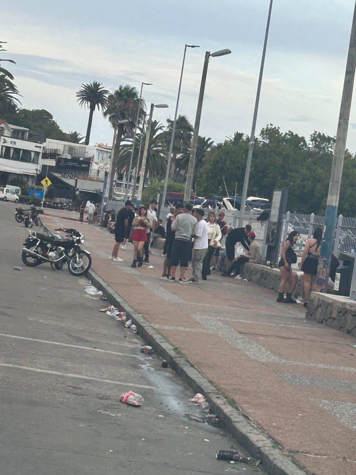 Imagen 5 de la galería