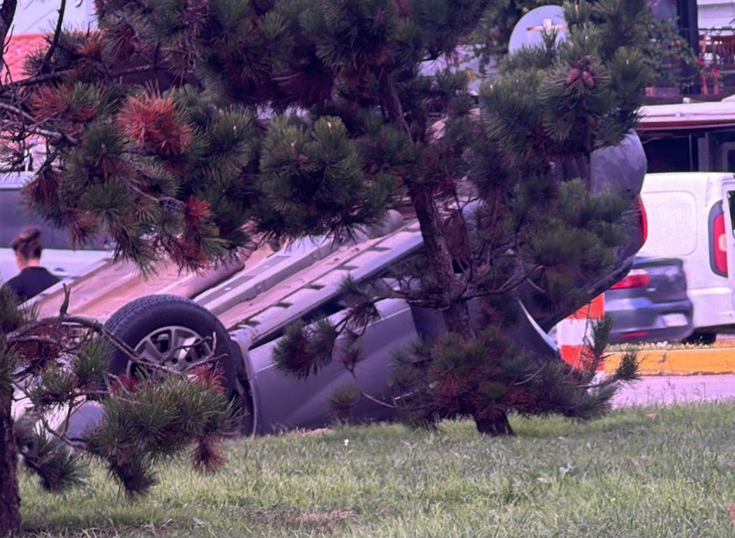 Imagen 1 de la galería