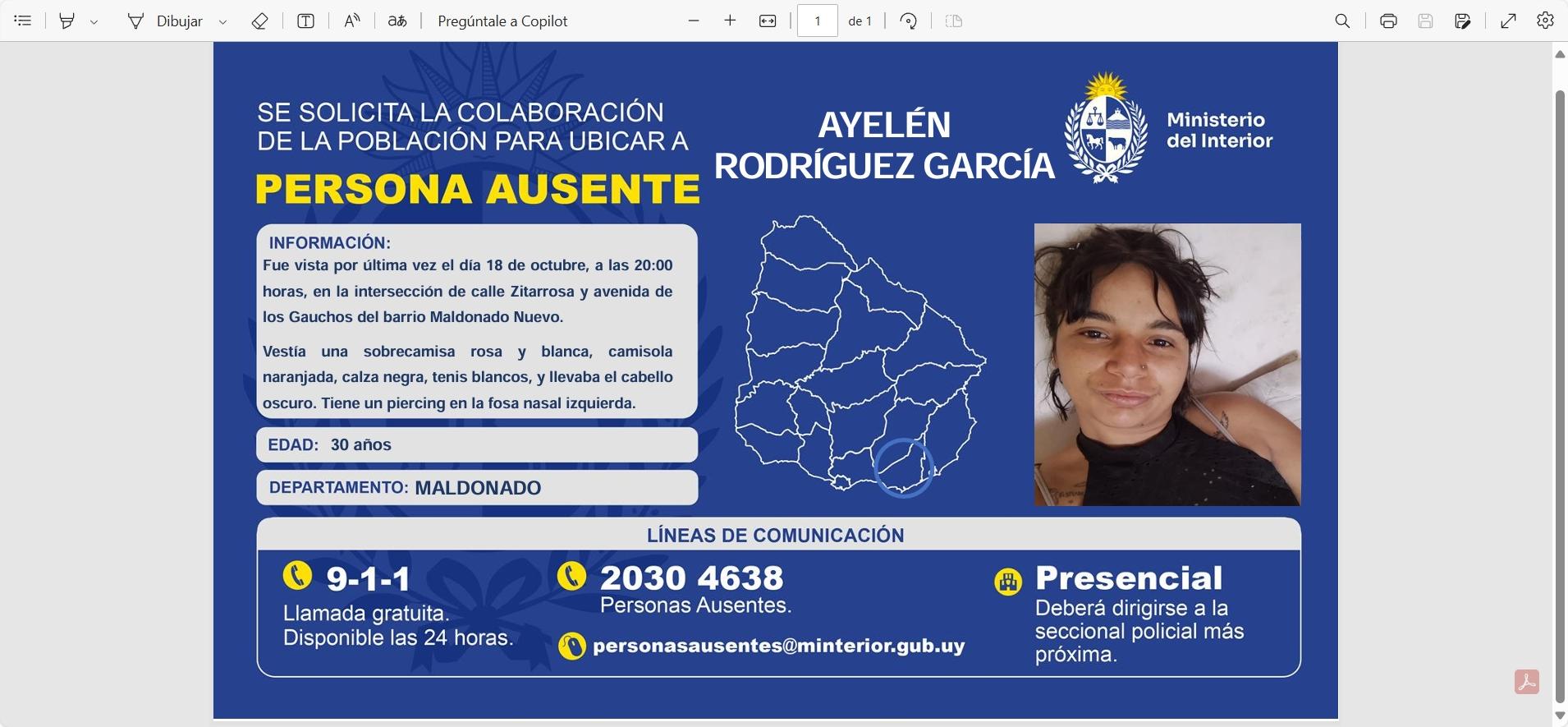 Imagen 1 de la galería