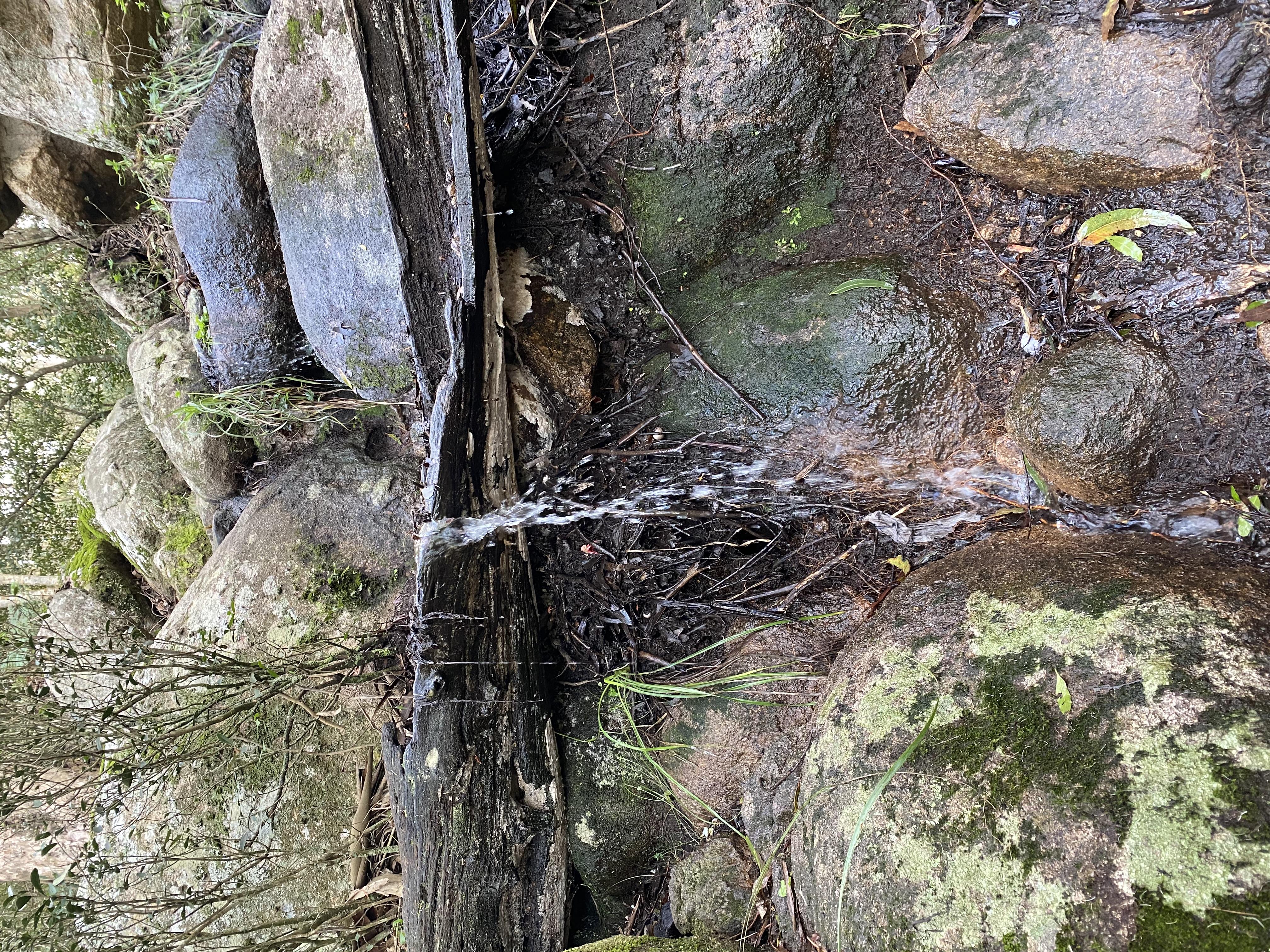 Imagen 3 de la galería