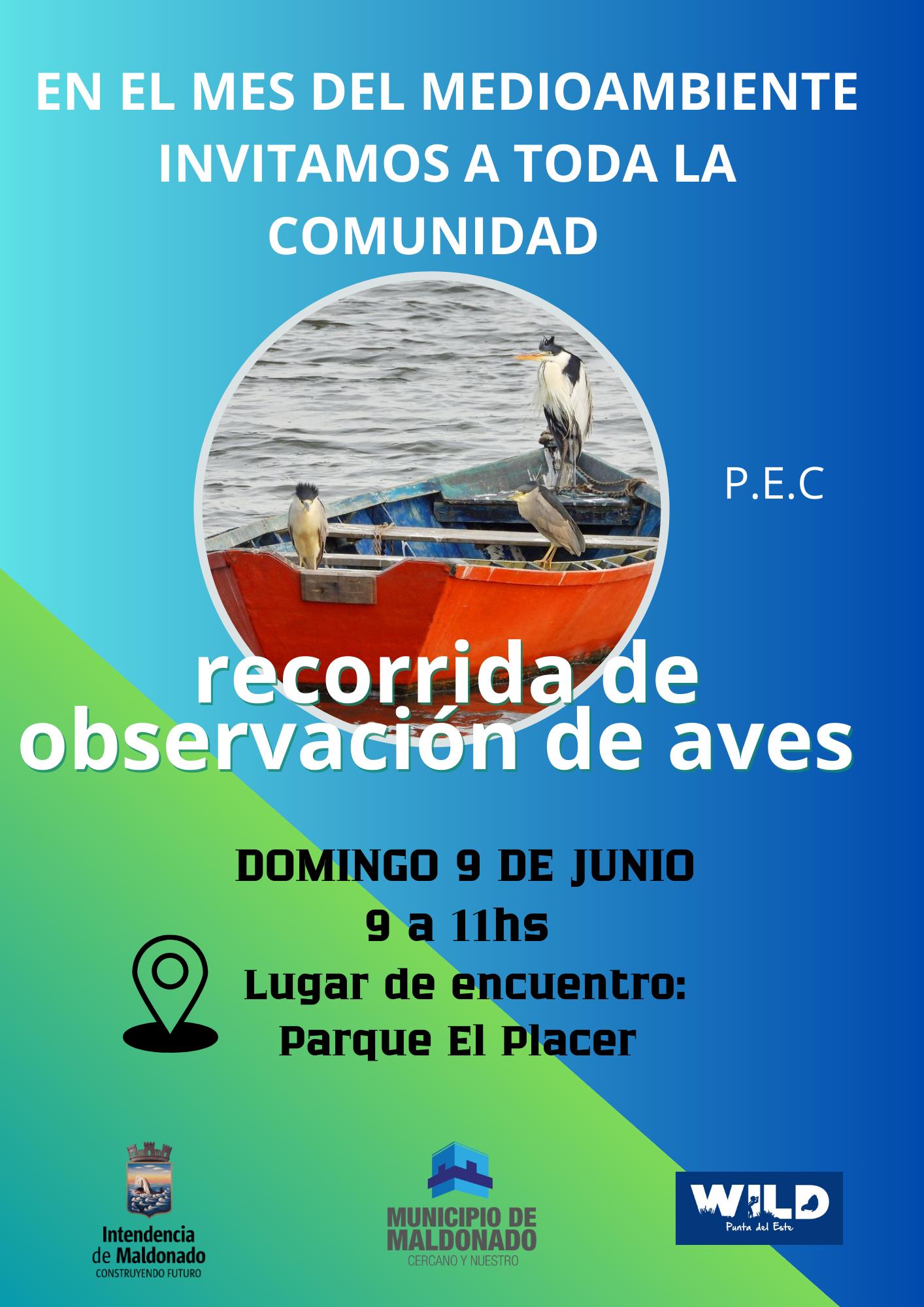 Imagen 2 de la galería