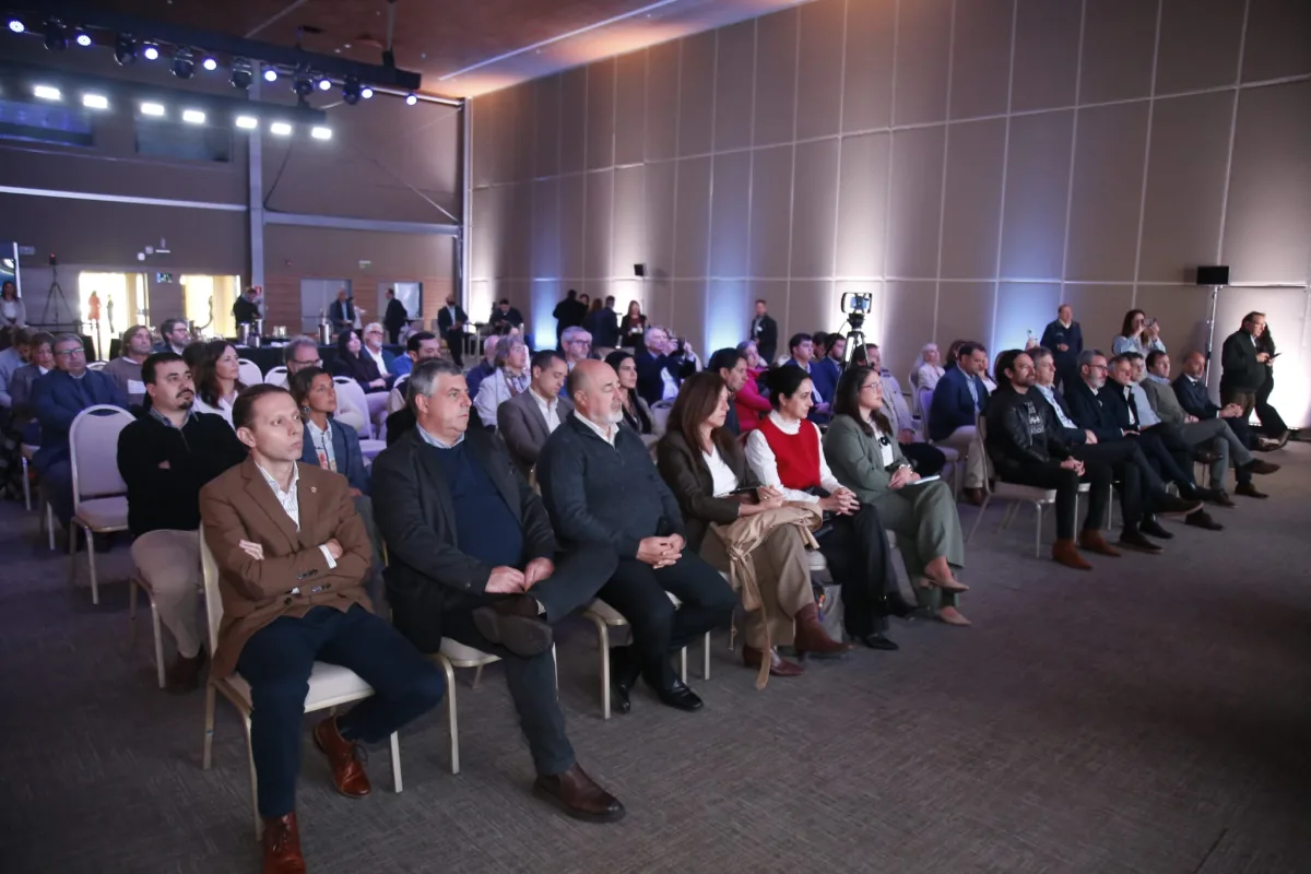 Imagen 1 de la galería