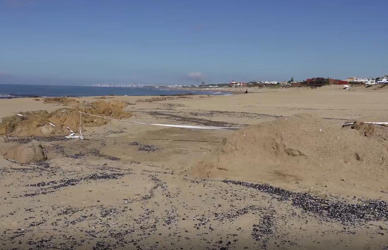 Imagen 2 de la galería