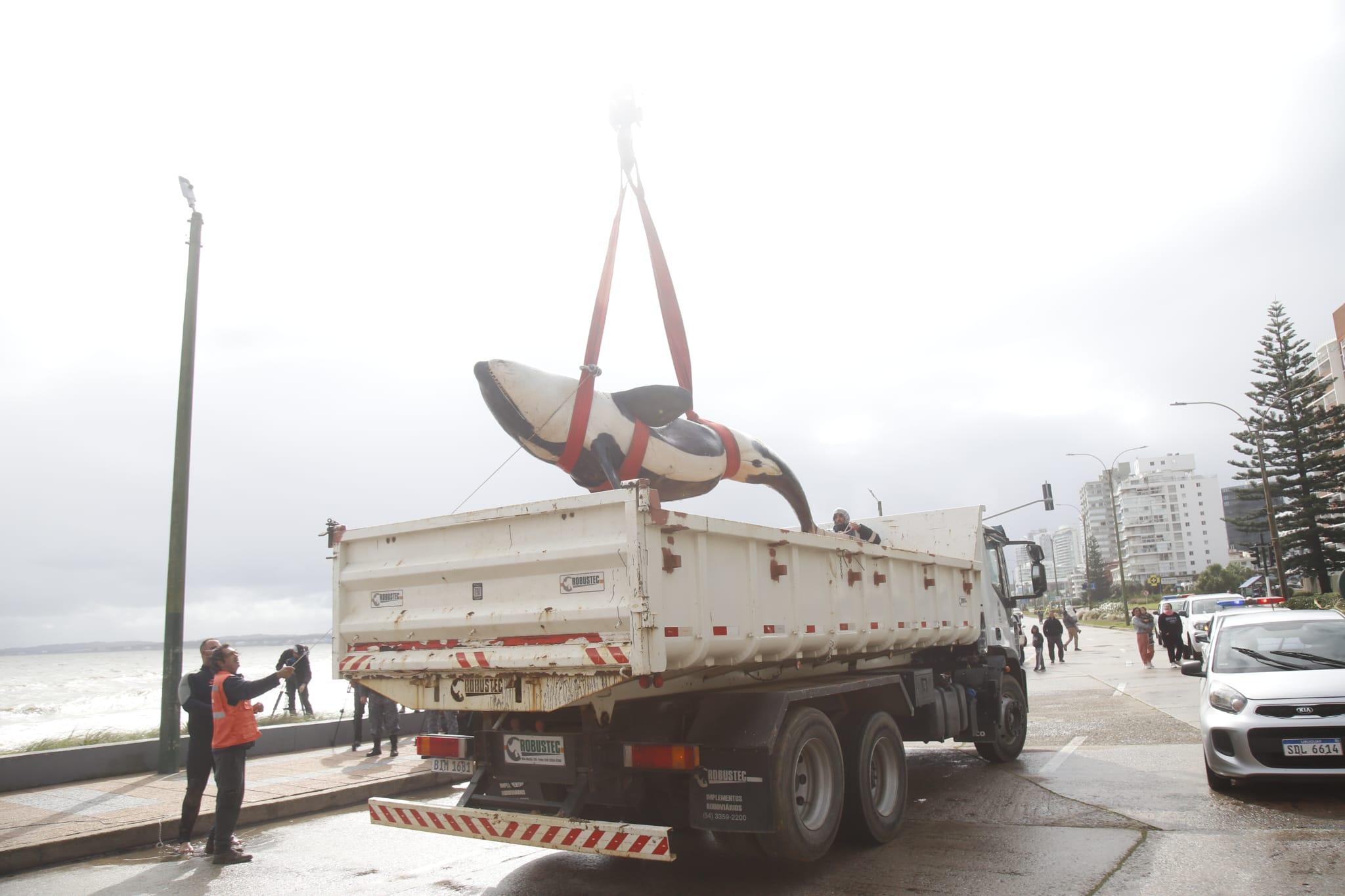 Imagen 2 de la galería