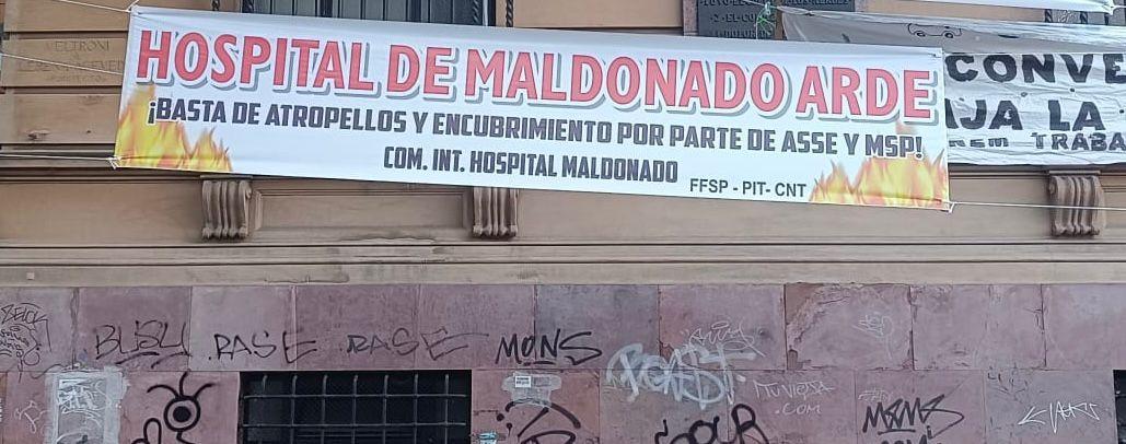 Imagen 2 de la galería