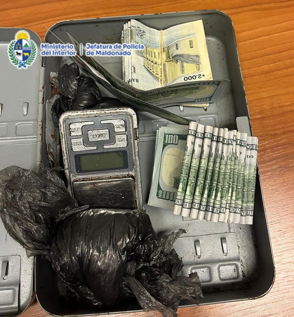 Imagen 2 de la galería